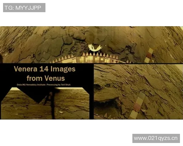 以法治为核心推动社会发展与国家治理现代化的路径探索与实践分析